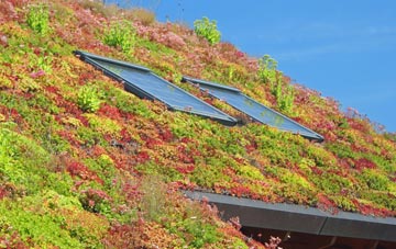 The Folly living roof systems